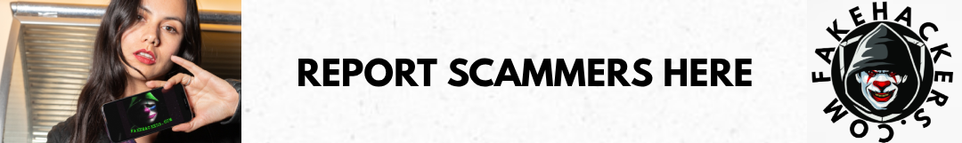 Fake Hackers